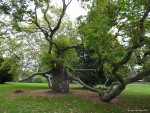Kalheupinkpark